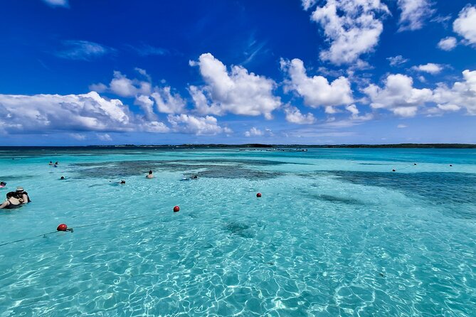 3-Hours Eye-Opening Stingray City Antigua - Transfer R/T included - What happens during the 1-hour-50-minute water visit