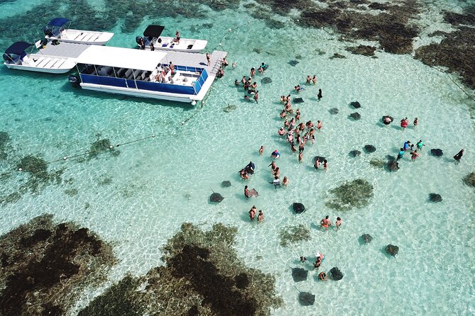 6-Hours Tour East Coast of Antigua: Stingray City, Lunch & Beach - The stingrays are the reason to book