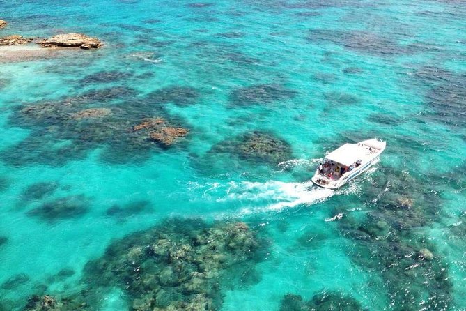 Adventure Antigua - Eli's Original Eco Tour - Guiana Island and Antigua’s mangroves