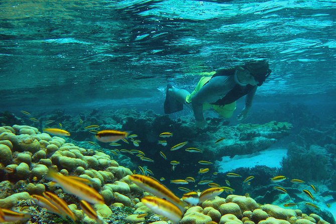 Adventure Antigua - Eli's Original Eco Tour - Great Bird Island: the best all-around stop