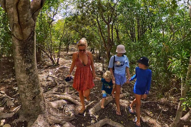 Adventure Power Boat Tour Antigua and Private Laviscount Island - Laviscount Island, tortoises, lunch, and a close look at nature