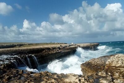 Antigua Eco Island Tour (City, Country, Beach, & Heritage Sites)