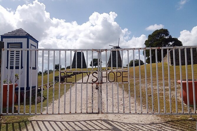 Antigua Eco Island Tour (City, Country, Beach, & Heritage Sites) - Parham, Antigua’s first town