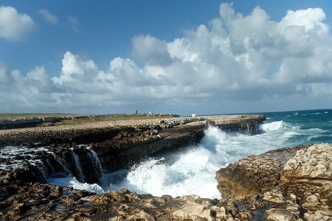 Antigua Eco Island Tour (City, Country, Beach, & Heritage Sites) - A local guide gives the route its character