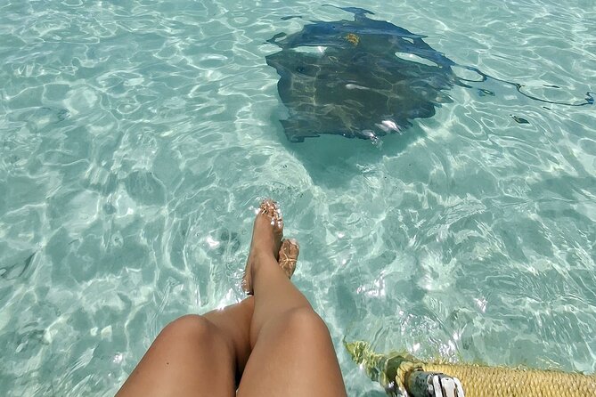 ANTIGUA FROM TOP TO BOTTOM: Stingray City, Beach, lunch & more... - Key points to know before booking