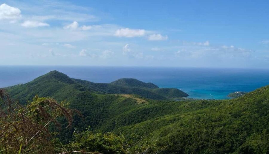 Antigua: Guided Morning and Sunset Hikes - Flora, birds, fruit, and ruins along the way