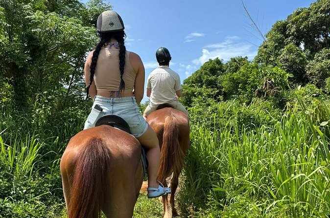 Antigua Horse Ride and Swim - Safety, Horses, and Staff Support