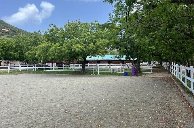 Antigua Horse Ride and Swim - A Good Fit for First-Time Riders