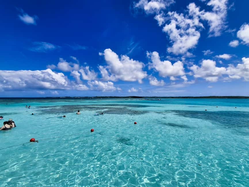 Antigua: Stingray City Experience with Round-Trip Transfer - From St. John’s or your resort to Seatons