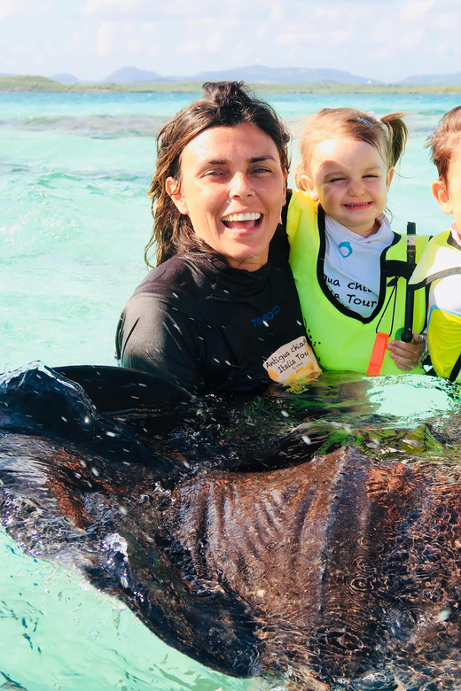 Antigua: Stingray City Experience with Round-Trip Transfer - Practical advice before you go