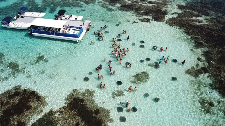 Antigua: Stingray City Experience with Round-Trip Transfer - Should you book Stingray City Antigua?