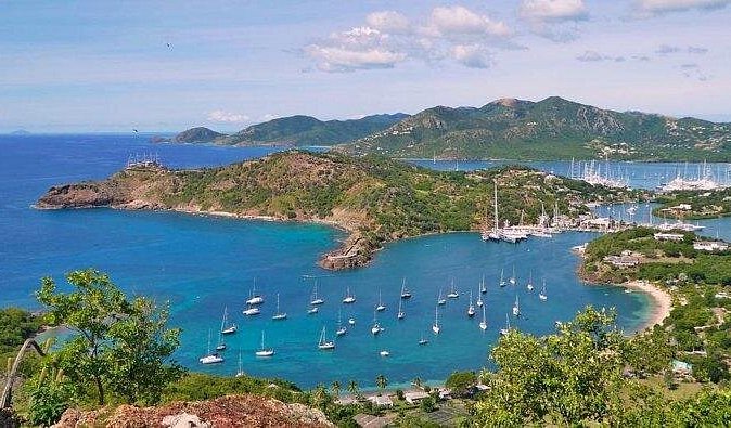 Antigua: The True Antiguan Experience with Lunch & Beverages - Pineapples in the field, with modest expectations