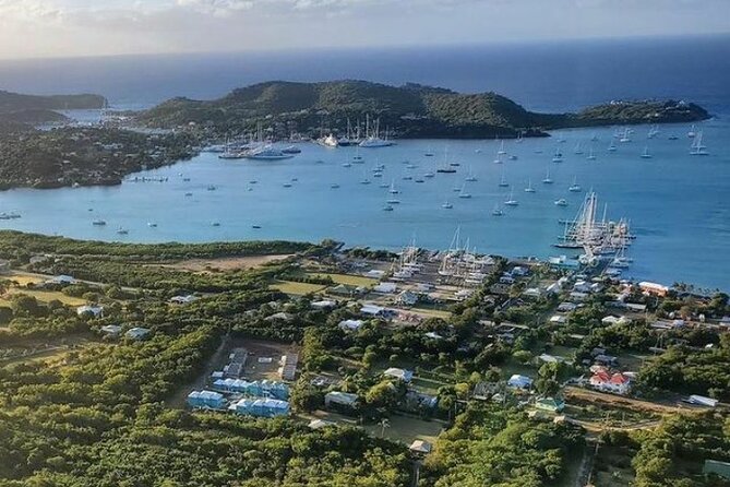 Antigua VIP Tours - Semi-Private Gold Tour - Shirley Heights delivers the big harbor view