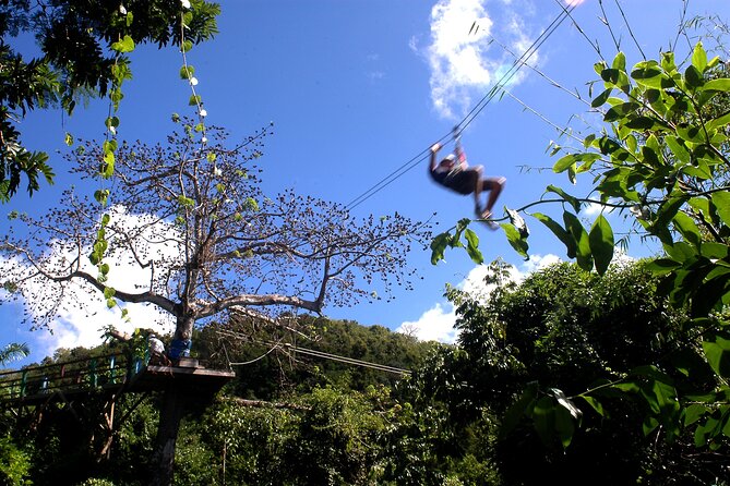 Antigua Zipline Canopy Adventure from St John’s - From St. John’s to the rainforest