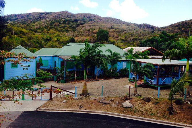 Antigua Zipline Canopy Adventure from St John’s - The forest setting is part of the reward