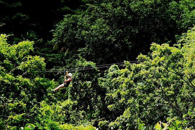 Antigua Zipline Canopy Adventure from St John’s - Who will enjoy this Antigua adventure?