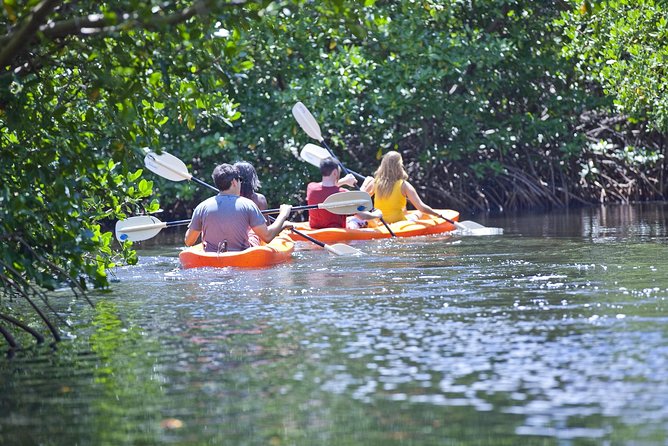Antigua Zipline & Kayaking Combo From St. John's - What the Price of $222.47 Includes