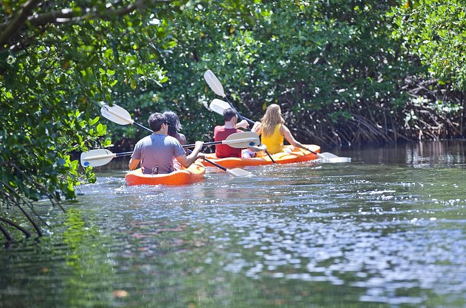 Antigua Zipline & Kayaking Combo From St. John's - Timing, Fitness, and What to Bring