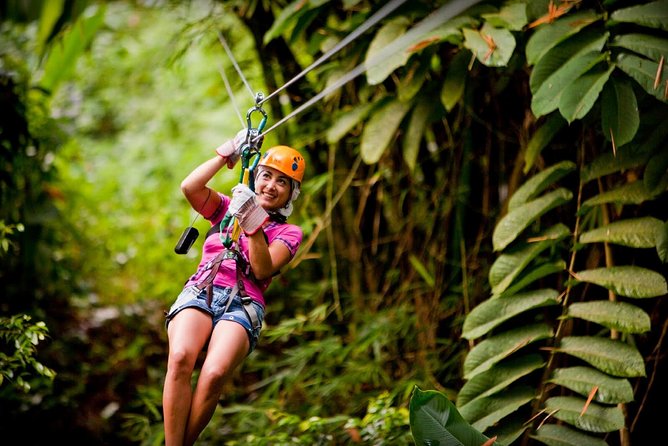 Antigua Zipline & Kayaking Combo From St. John's - Crossing Antigua Along Fig Tree Drive