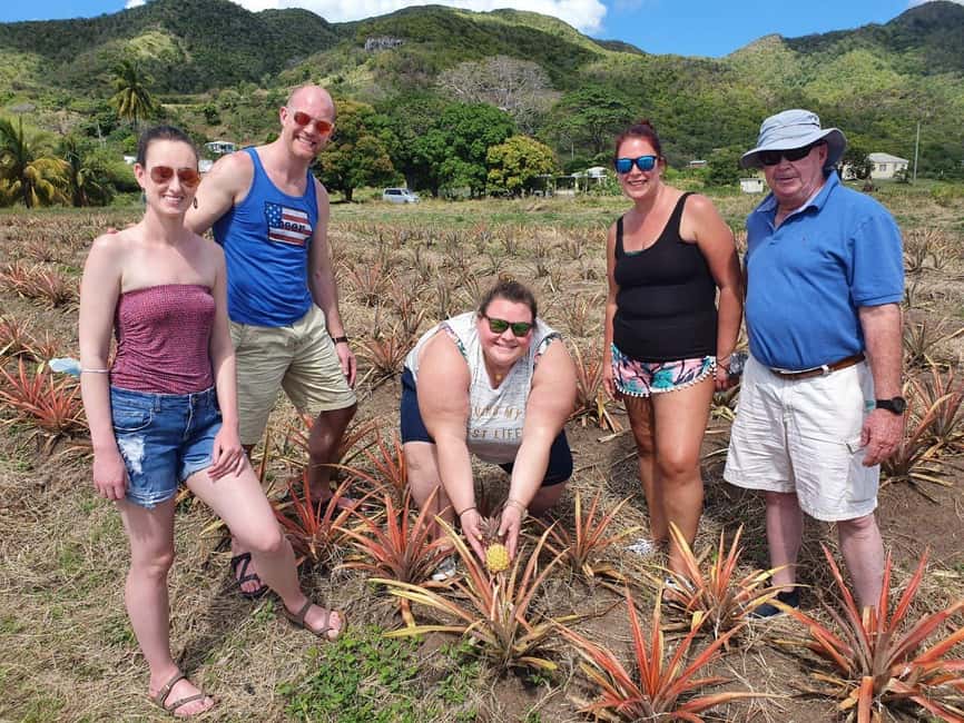 Antiguan experience home tour with local guide with lunch - Inside the historic Antiguan family home