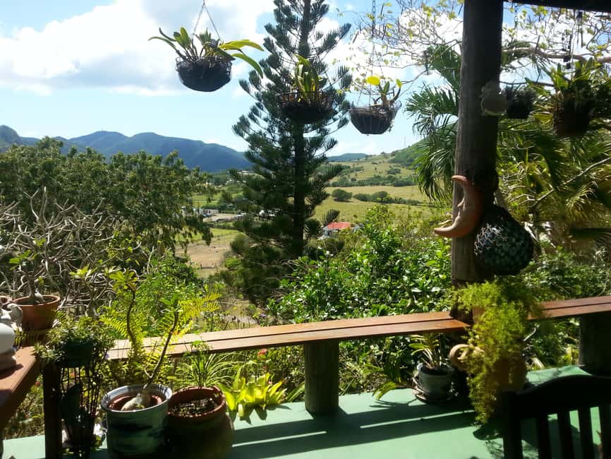 Antiguan experience home tour with local guide with lunch - Ruined sugar mills at Fryes Estate