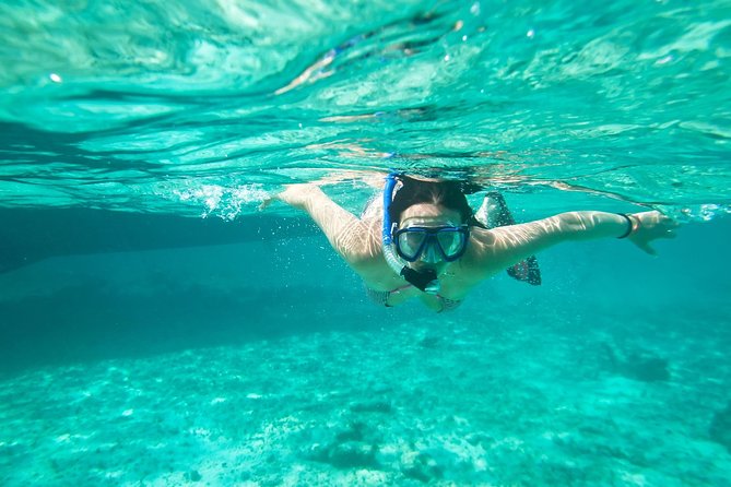 Cades Reef Snorkel Cruise from St. John's Antigua - Key points to know before booking