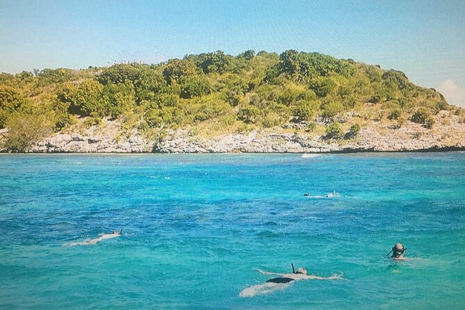 Cades Reef Snorkel Cruise from St. John's Antigua - What Cades Reef offers underwater
