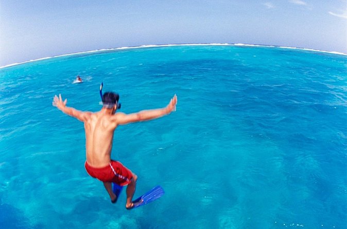 Cades Reef Snorkel Cruise from St. John's Antigua - Is $173.20 a fair price?