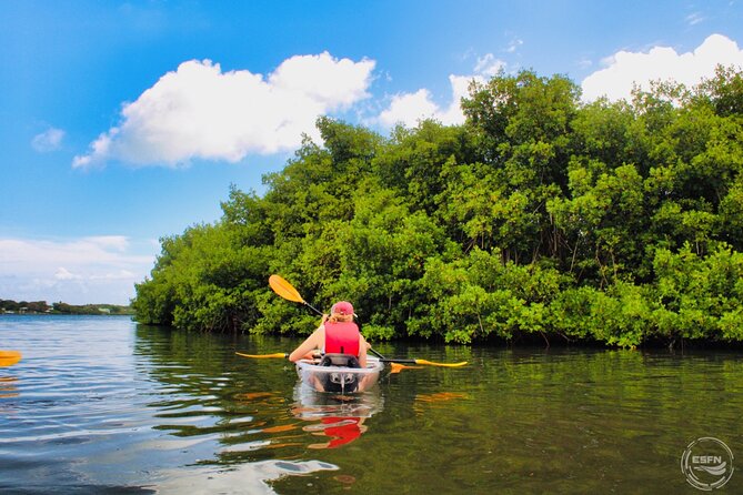 Clear Kayak Tour in Mangrove Antigua - Paddling through Antigua’s mangrove channels
