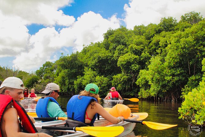 Clear Kayak Tour in Mangrove Antigua - Brittany’s local explanations add real value