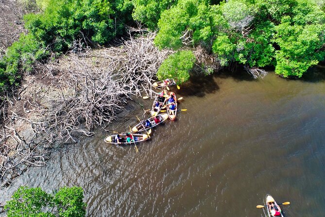 Clear Kayak Tour in Mangrove Antigua - Getting to Osbourn without private transport