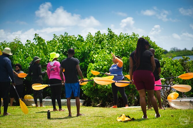 Clear Kayak Tour in Mangrove Antigua - How demanding is the paddling?