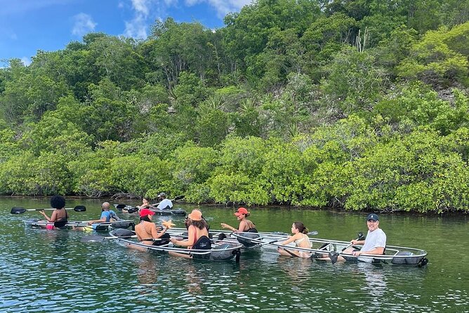 Crystal Kayak & Snorkel Eco Tour (with transfer) - A clear view into Antigua’s shallow water