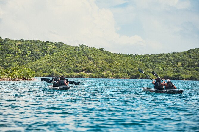 Crystal Kayak & Snorkel Eco Tour (with transfer) - Paddling through the mangrove bay