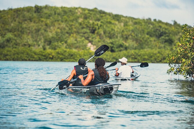 Crystal Kayak & Snorkel Eco Tour (with transfer) - What $89 gets you