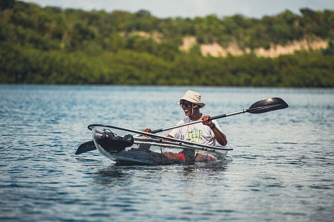 Crystal Kayak & Snorkel Eco Tour (with transfer) - Who will enjoy this Antigua eco tour