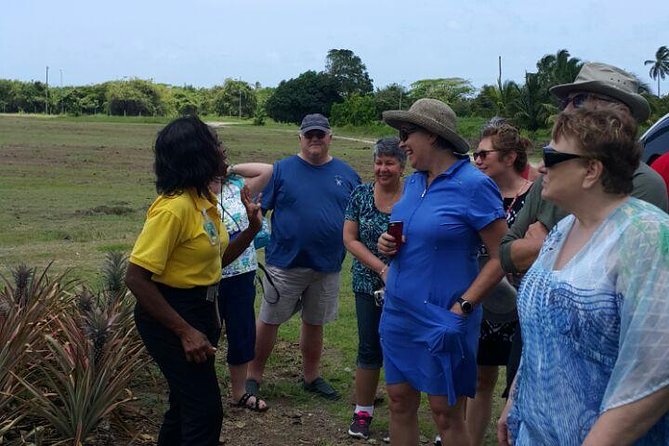Cultural and Historical Home Tour in The Antiguan Experience - A five-minute introduction at the Museum of Antigua and Barbuda
