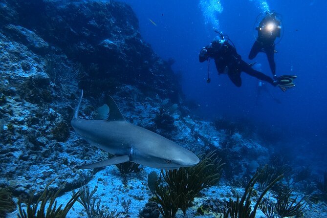 DiveCarib - An Eco-Friendly Certified Diver Trip in Antigua - The boat ride gives Antigua a different viewpoint
