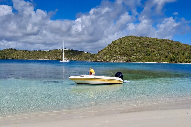 FANTASTIC Green Island and Sea Turtles - Half Day share boat trip - Why the early start matters on Green Island