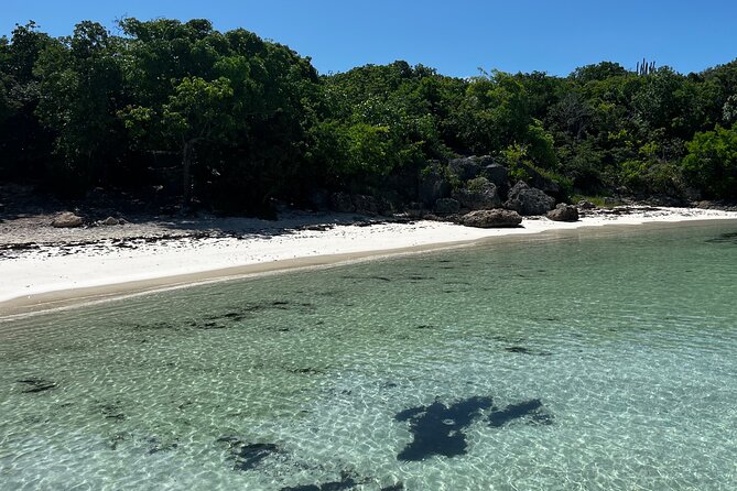 FANTASTIC Green Island and Sea Turtles - Half Day share boat trip - The boat transfer from Willikies