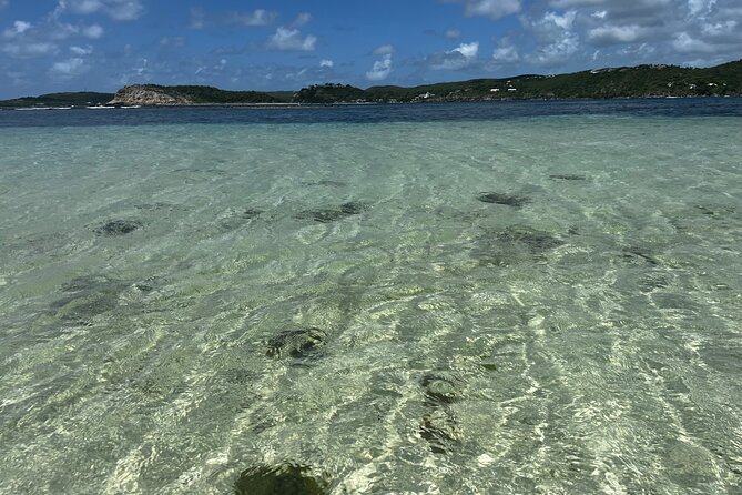 FANTASTIC Green Island and Sea Turtles - Half Day share boat trip - Finding sea turtles in the clear water