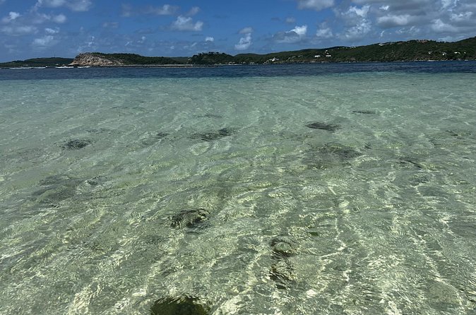 FANTASTIC Green Island and Sea Turtles - Half Day share boat trip - Guides who shape the day