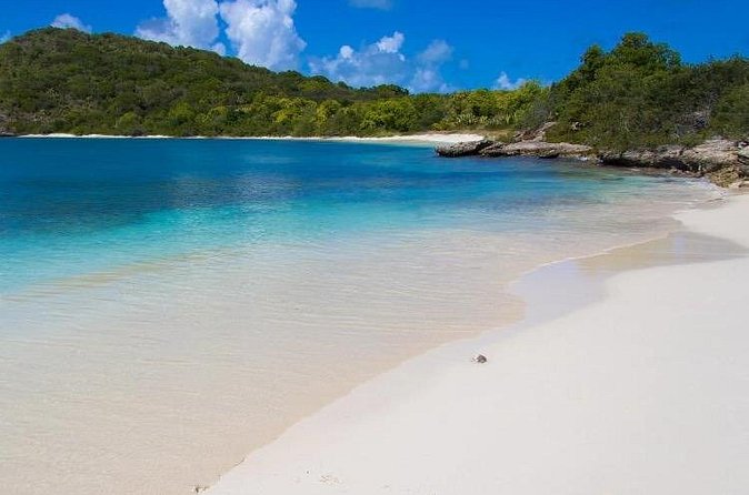 FANTASTIC Green Island and Sea Turtles - Half Day share boat trip - What is included for $179.90