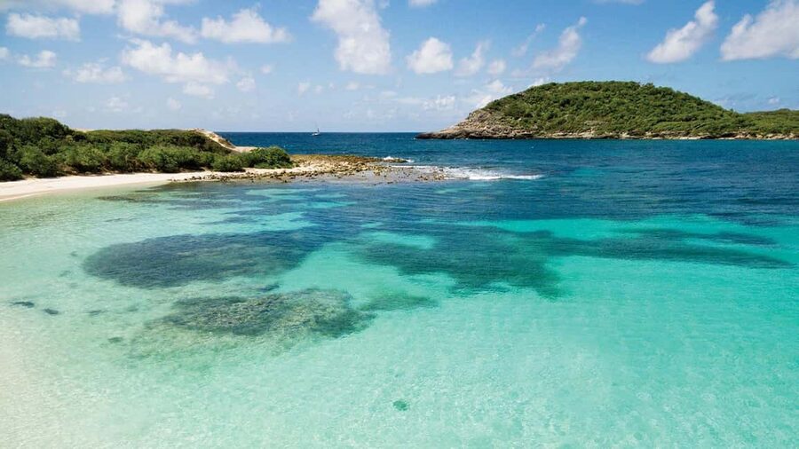 From St John's: Half Moon Bay Beach Half-Day Trip by Van - Key points at a glance