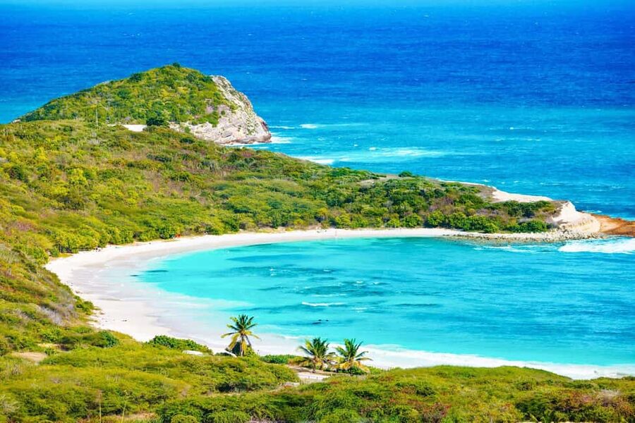 From St John's: Half Moon Bay Beach Half-Day Trip by Van - A short shoreline walk leads to calmer water