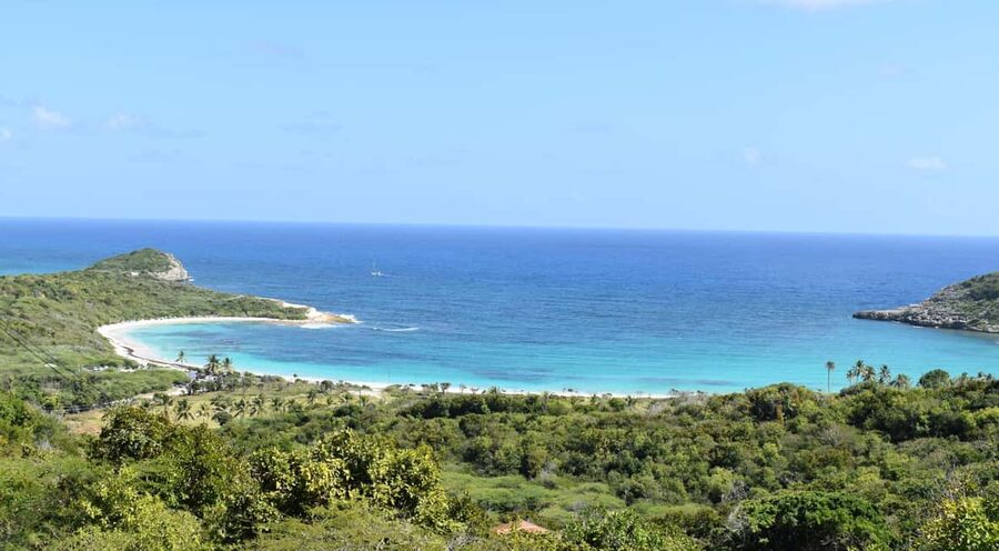From St John's: Half Moon Bay Beach Half-Day Trip by Van - What the guides add to a simple beach day