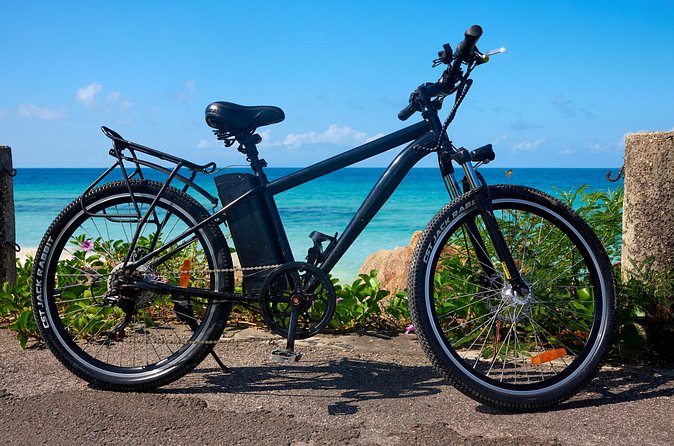 Guided Orange Valley Bike and Hike - Seeing how Antigua Black Pineapple grows