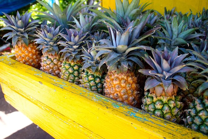 Half-Day Tour: A Taste of Paradise and History of Antigua - Shirley Heights for Antigua’s signature view
