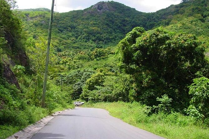 Half-Day Tour: A Taste of Paradise and History of Antigua - The guide can make the ride worthwhile