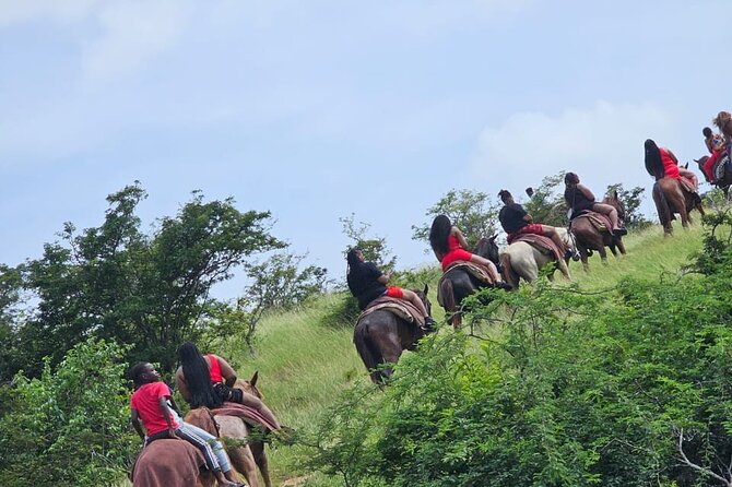 Horseback Riding at Hawksbill Beach in Five islands Antigua - From Five Islands village to the Antigua hills